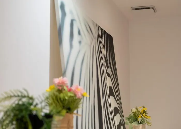 Prive Dans Maison Du Centre Perpignan